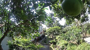 Memory In Jeju Pension