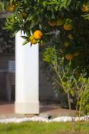 Green Park Apartments