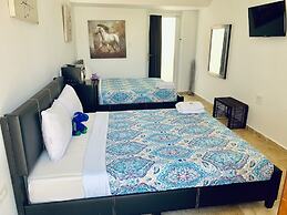 Manati World Point Inn