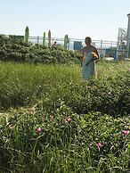 By the Sea Guests Bed & Breakfast & Suites