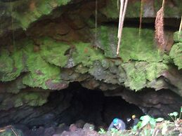 Aloha Crater Lodge and Lava Tube