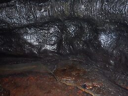 Aloha Crater Lodge and Lava Tube