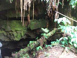 Aloha Crater Lodge and Lava Tube