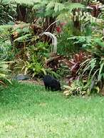 Aloha Crater Lodge and Lava Tube