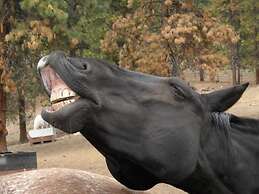 Wildhorse Mountain Guest Ranch