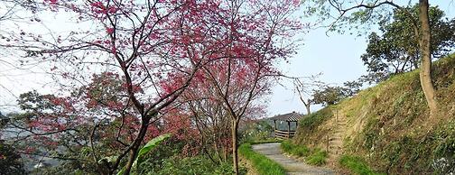 Shangrila Leisure Farm