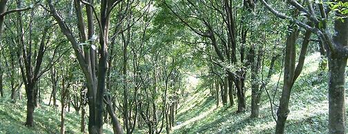 Shangrila Leisure Farm