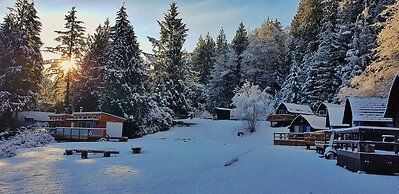 Backeddy Resort and Marina