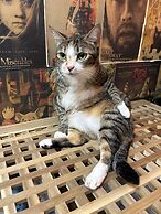 Ximen Triple Tiger Hostel