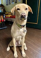 Ximen Triple Tiger Hostel