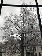 Pring Guesthouse - Hostel