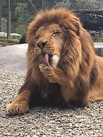 Sunset Oceanfront Lodging