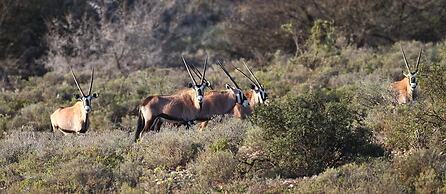 Berluda Farmhouse & Cottages