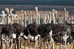 Berluda Farmhouse & Cottages