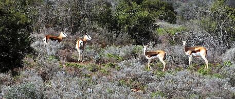 Berluda Farmhouse & Cottages