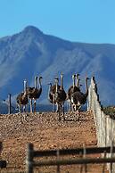 Berluda Farmhouse & Cottages