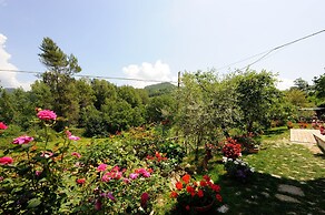 Agriturismo Casa Brunori