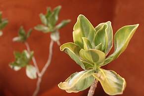 Afei Surf Inn Hall 4 - NANU