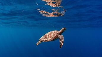 Amilla Maldives