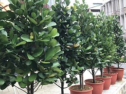 Single Inn Taipei - Hostel