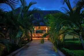 African Roots Entebbe