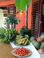 Nirvana Beach Hotel Bahia