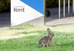Becket Court - University of Kent - Campus Accommodation