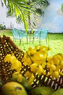 Corazon de Jade Tulum Downtown