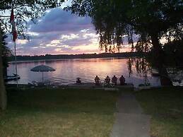 Windswept on the Trent