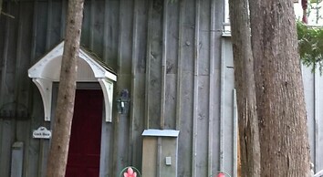 Windswept on the Trent