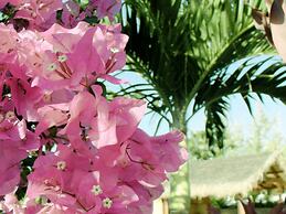 Maui Meadows Guest House