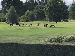 Lake Brunner Longhouse