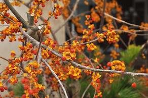 Tamana Onsen Hotel Shirasagi