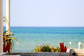 Life is a Journey - Hostel