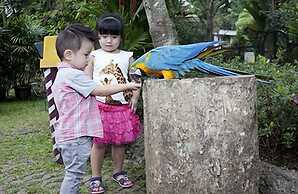 Royal Safari Garden Resort & Convention