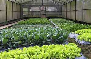 Royal Safari Garden Resort & Convention