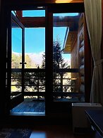 Hakuba Pension Meteor