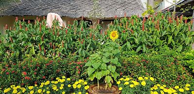 Sun & Sands Beach Hotel