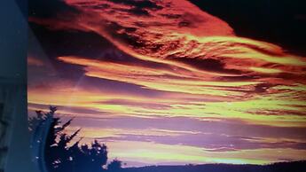 Waterview Gardens B&B