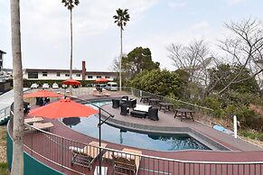 Alaise De Bale SHIRAHAMA