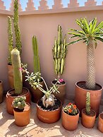 Riad Zamane Fès - Boutique & Spa