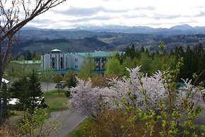 Romantopia, A Landscape of Forest and Stars, The Swan, Hotel of Stars