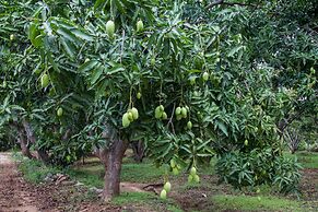 Sigiriana Resort by Thilanka