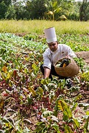 Sigiriana Resort by Thilanka