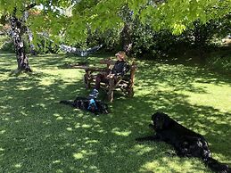 Tailor Made Tekapo - Hostel