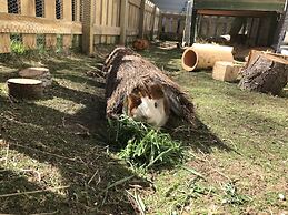 Tailor Made Tekapo - Hostel