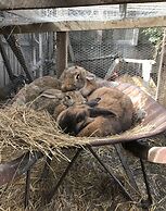 Tailor Made Tekapo - Hostel