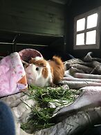 Tailor Made Tekapo - Hostel