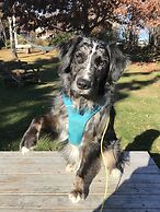 Tailor Made Tekapo - Hostel