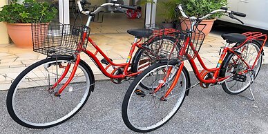 Churaumi On The Beach Motobu